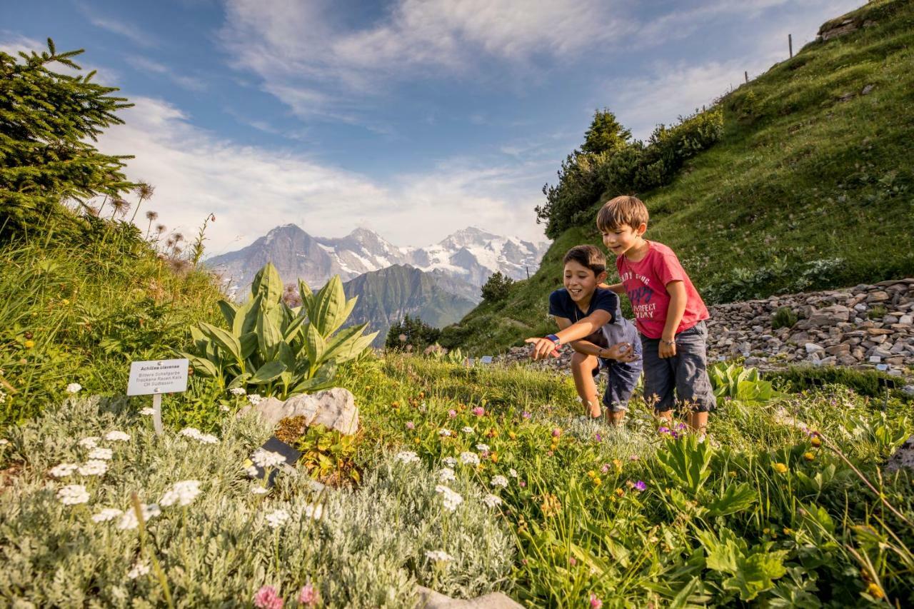 Berghotel Schynige Platte Wilderswil Bagian luar foto