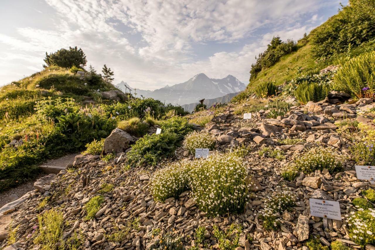 Berghotel Schynige Platte Wilderswil Bagian luar foto