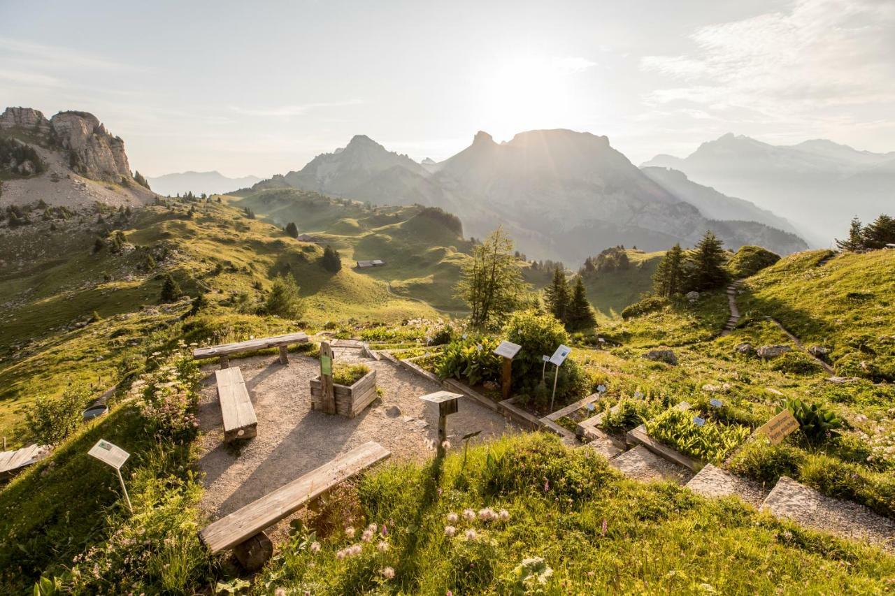 Berghotel Schynige Platte Wilderswil Bagian luar foto